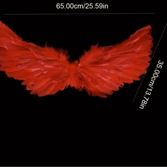 Pink Angel & Devil Feather
Wings Photo Prop Costume - Picture 2 of 6